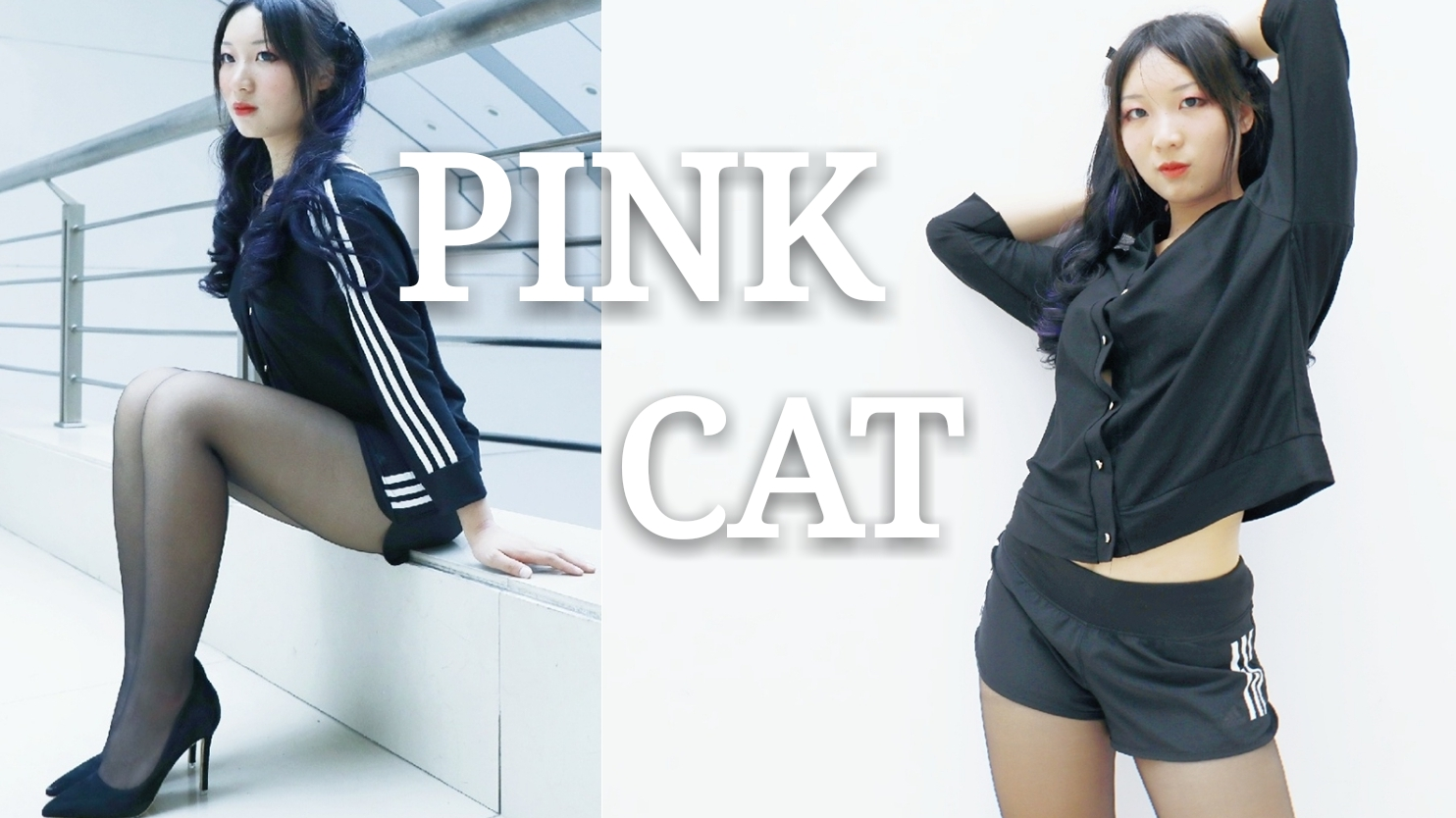 【安逸】PINK CAT【挠挠头】
